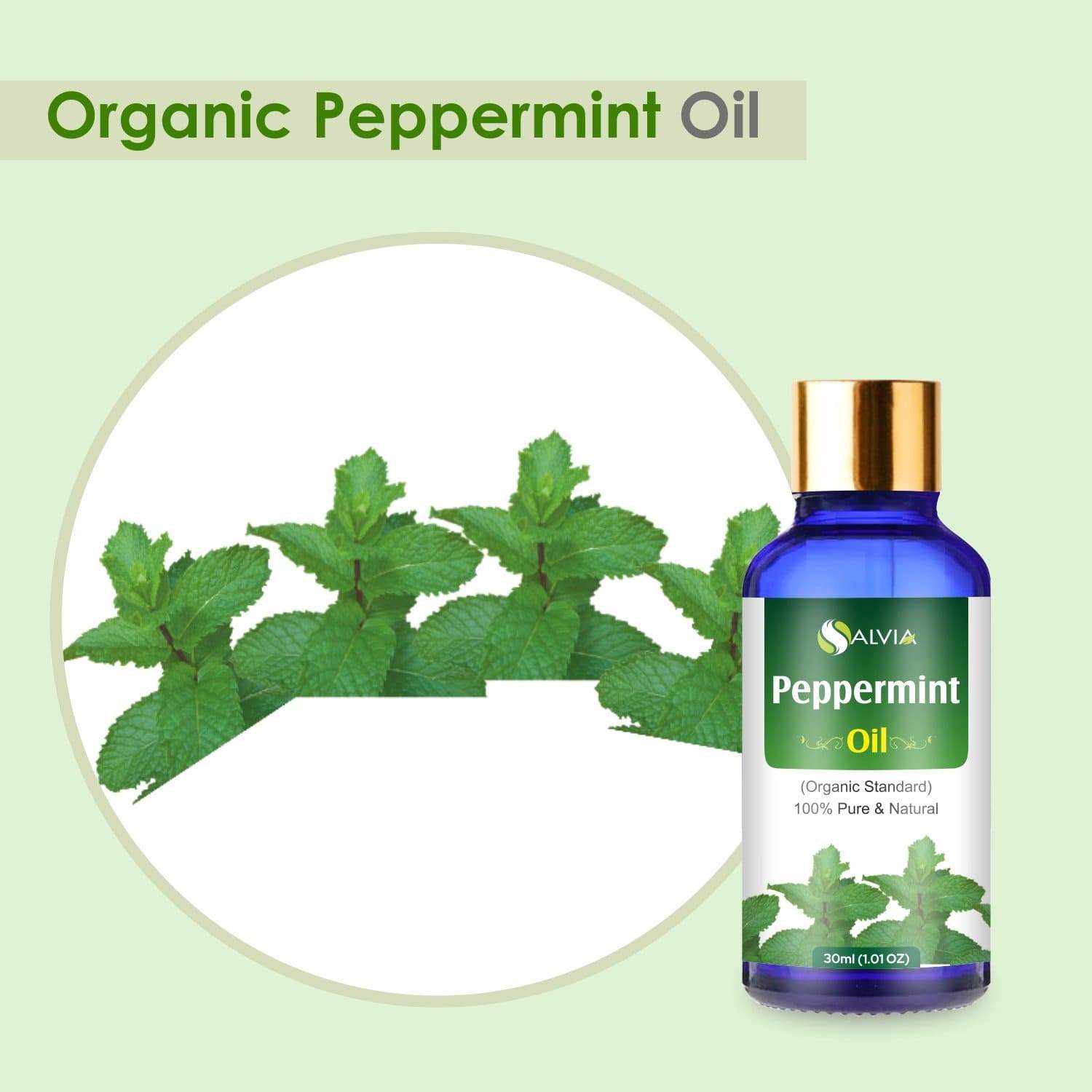 best peppermint essential oil in india